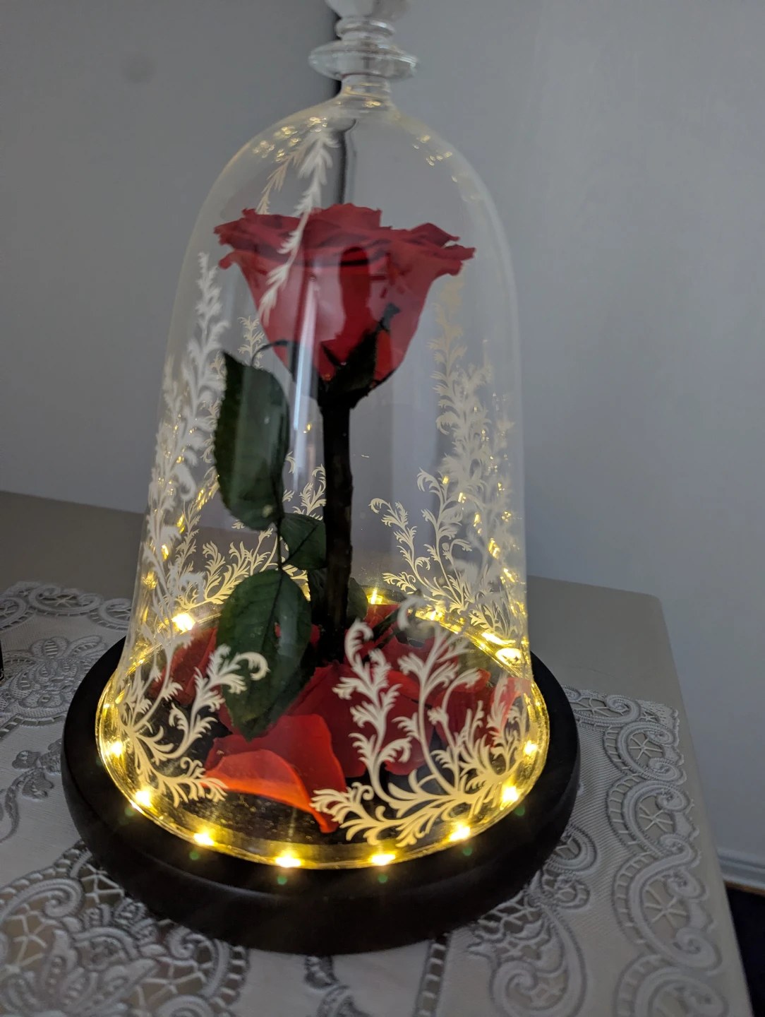Enchanted Rose in Glass Dome - photo 2