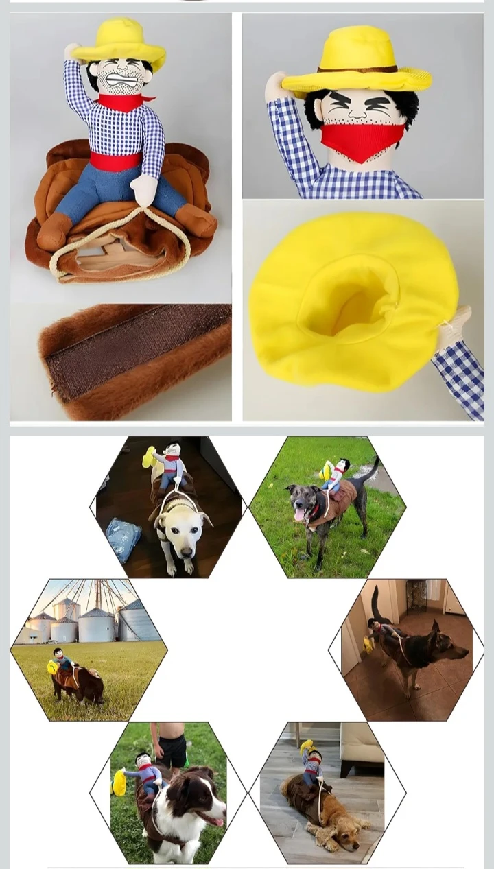 🥕  NEW!   NACOCO Cowboy Rider Dog Costume - Size M - photo 3