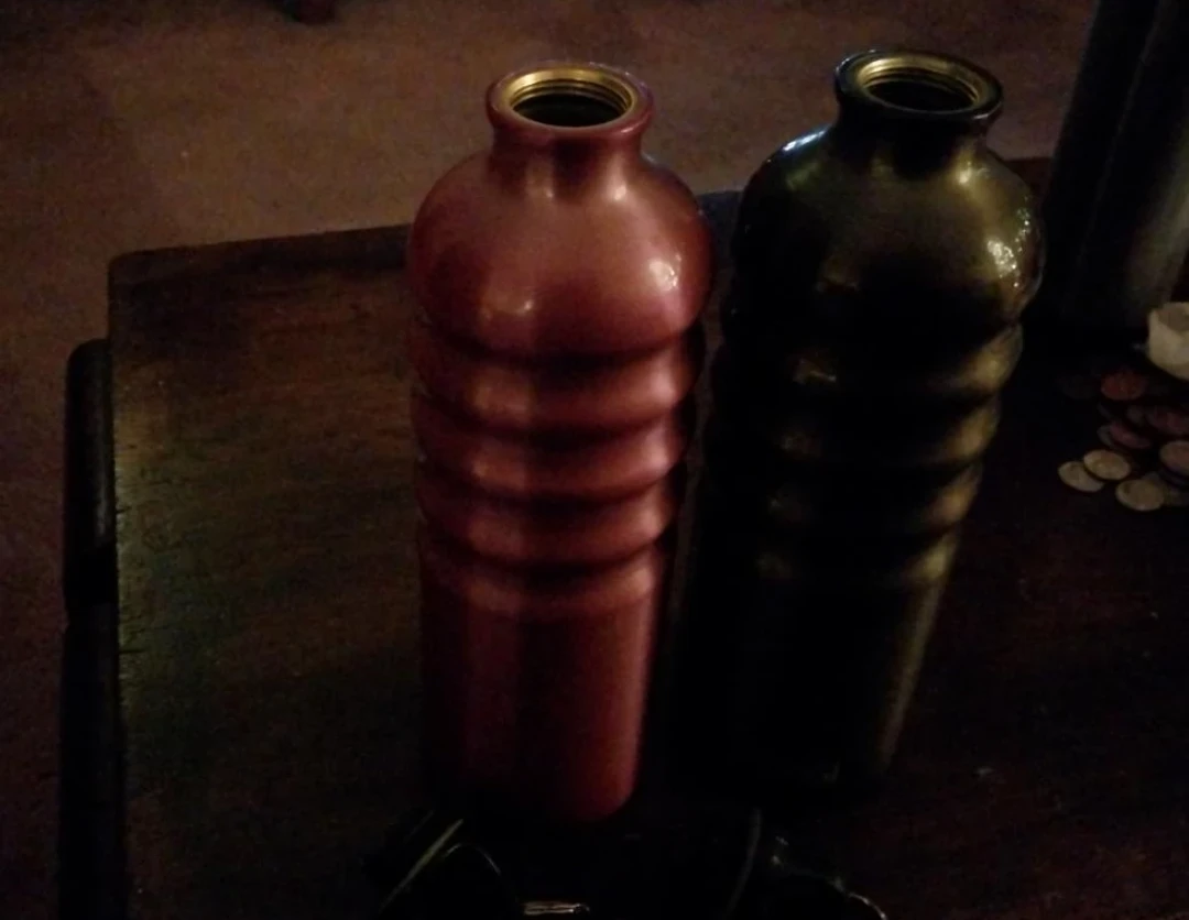 Two Metal Water Bottles