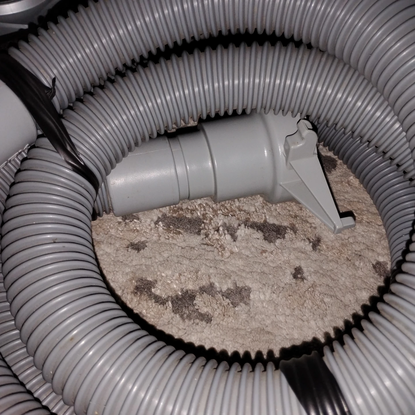 Kirby Vacuum Cleaner Hose - photo 2