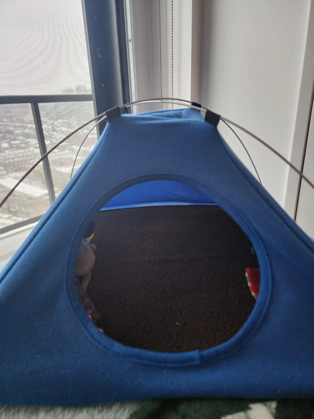Pet Tent and Pet Bed for cats or small pets - photo 2