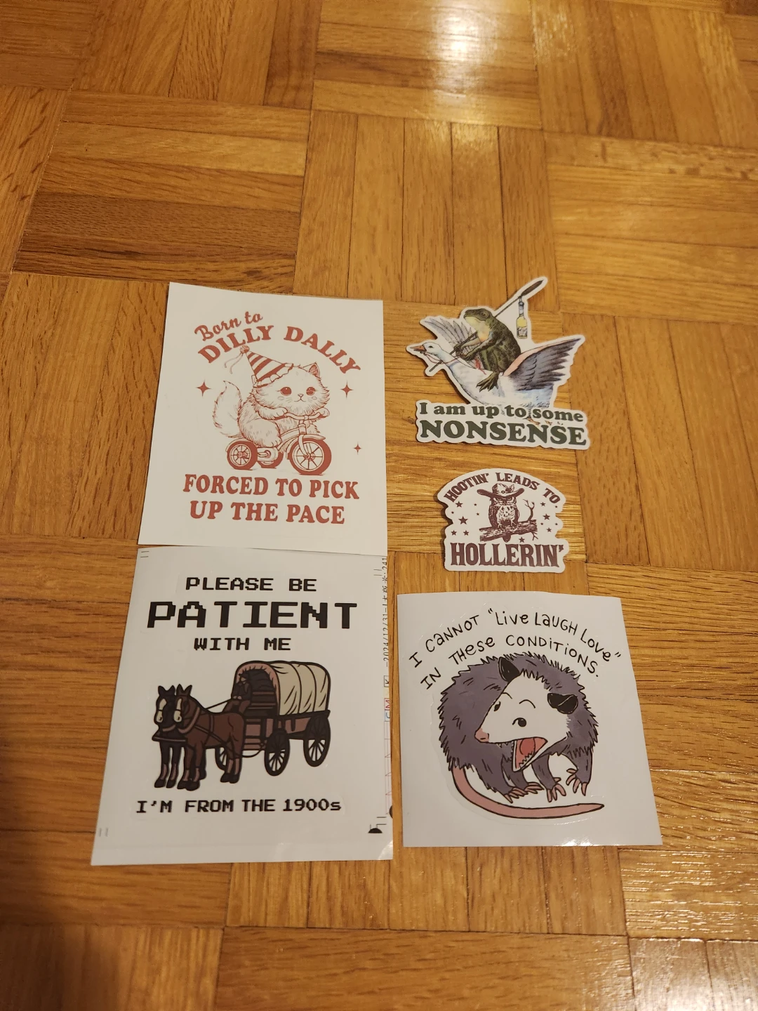 Sticker Set-"Official Silly Goose Club"
