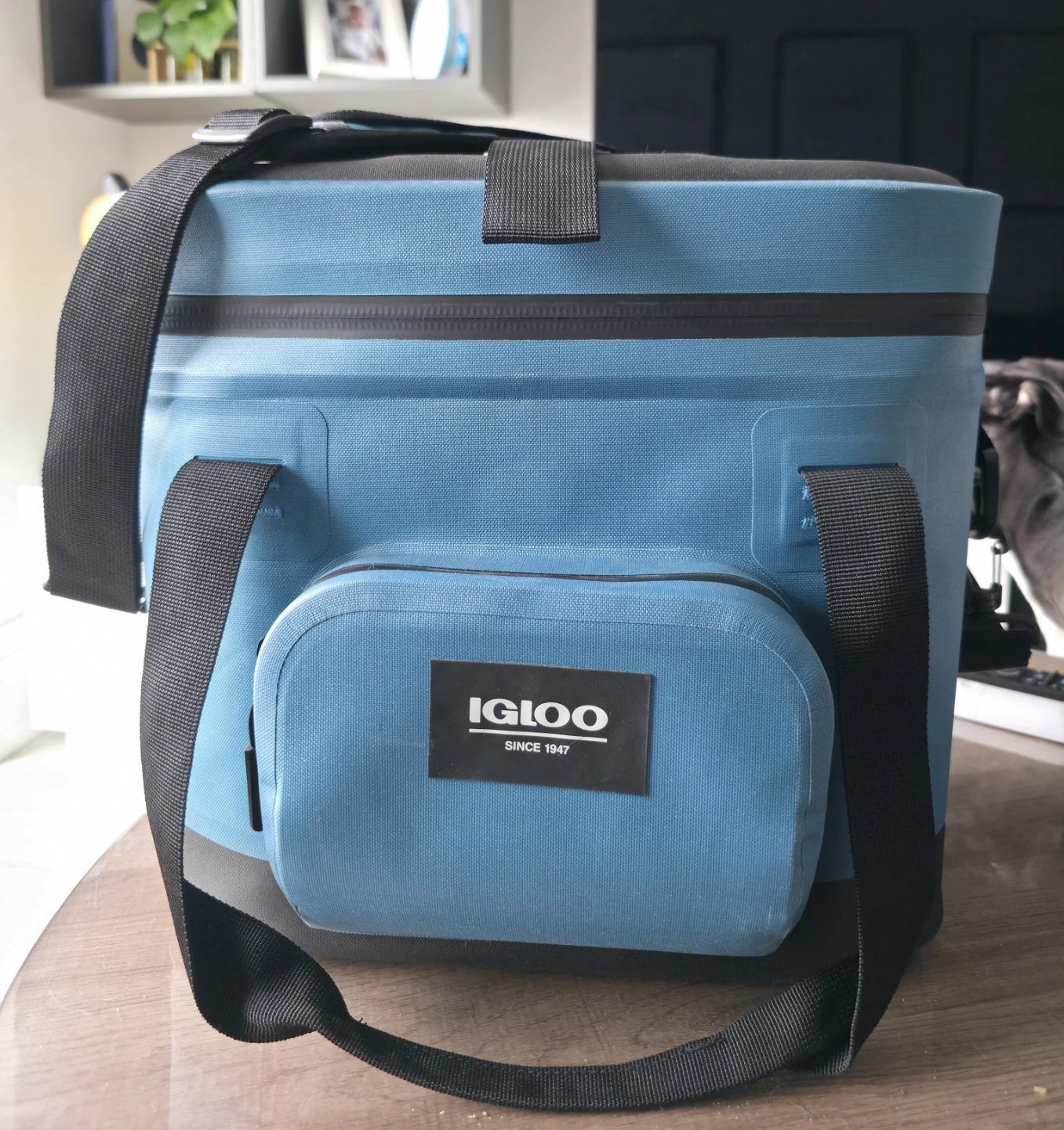 Igloo TM 18L Cooler Bag - Blue