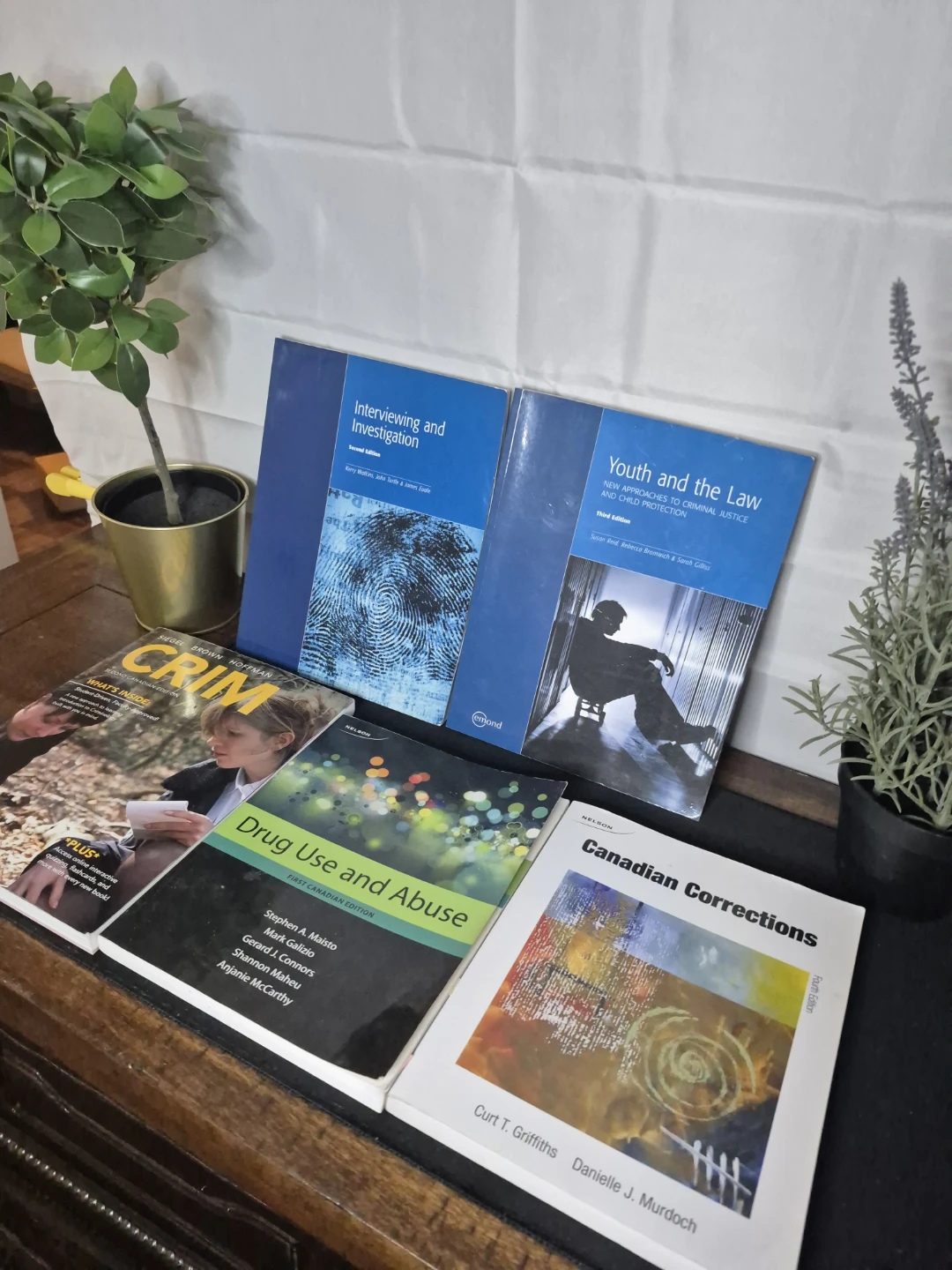 Bundle of 5 Canadian Criminology Textbooks