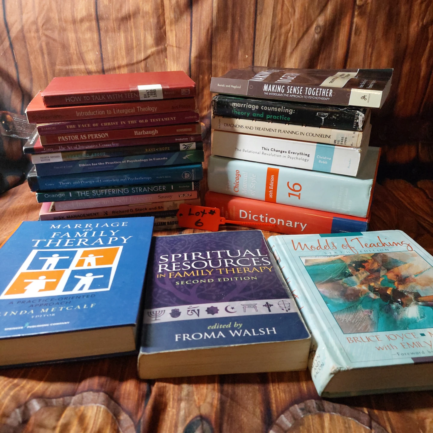 Psychology and Therapy Books Bundle, Lot #6