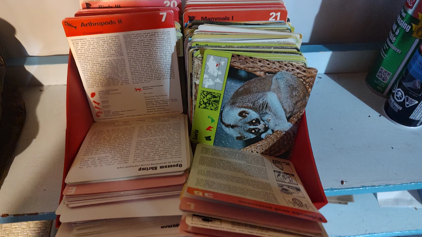 Vintage Educational Animal & Science Cards - photo 2