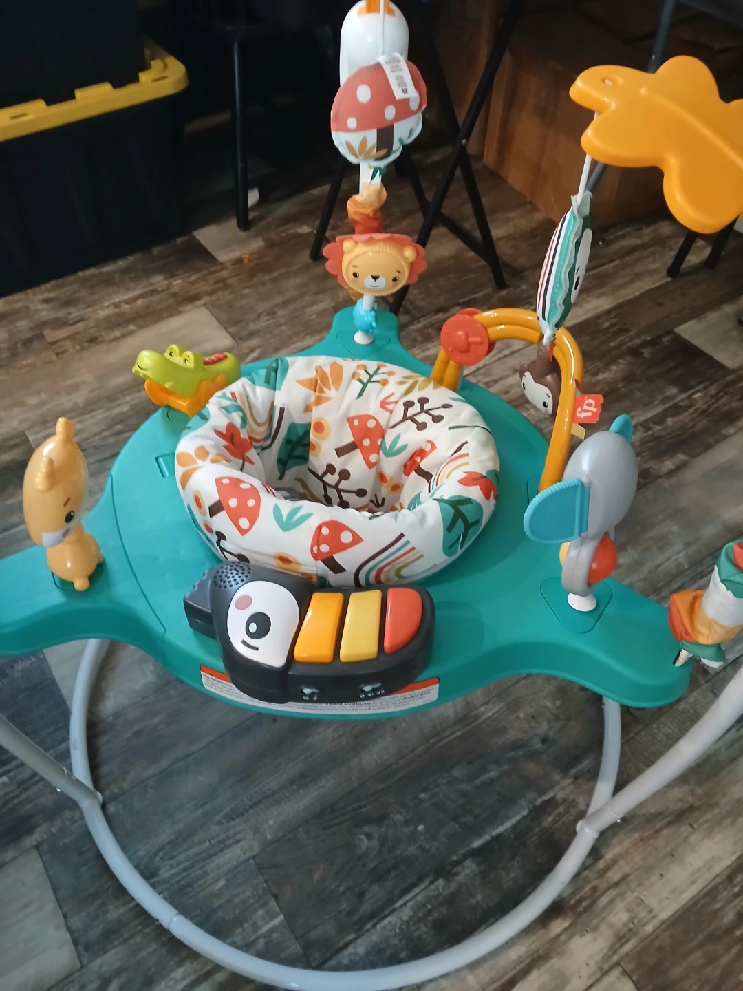 Fisher-Price Jumperoo