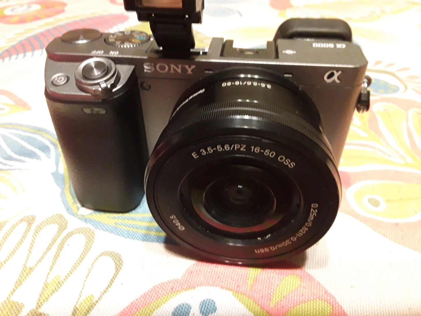 Sony Alpha a6000 Mirrorless Digital Camera