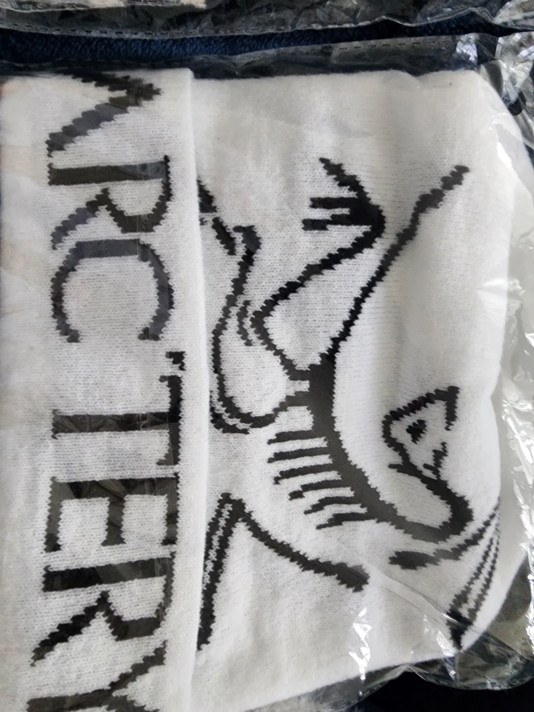 Arc'teryx Beanies - photo 3