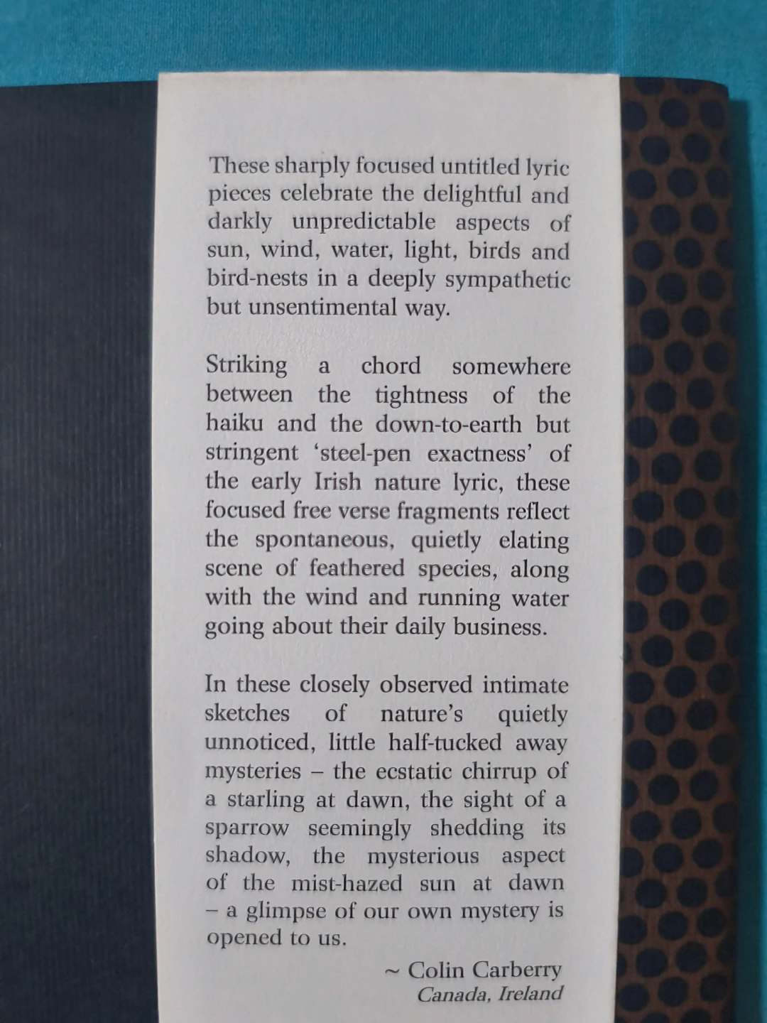 Nature Notes: Fragments for an Elegy by Michael Lee Rattigan - photo 3