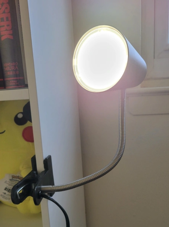 Clip-on LED Desk Lamp - Black