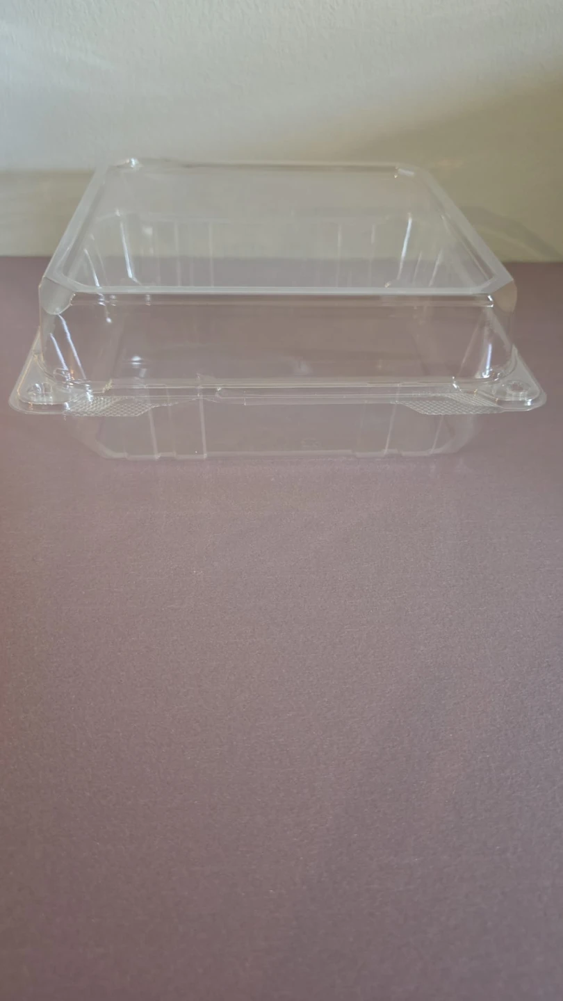 Clear Plastic Food Container
