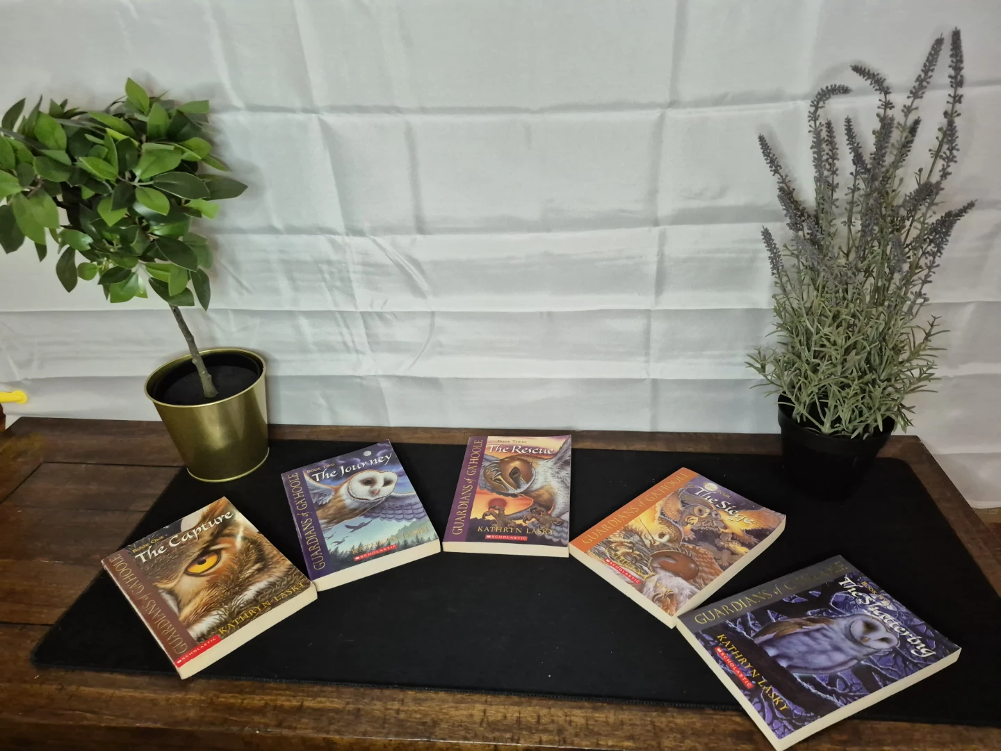 Guardians of Ga'Hoole Book Series by Kathryn Lasky (Books 1-5) - photo 2