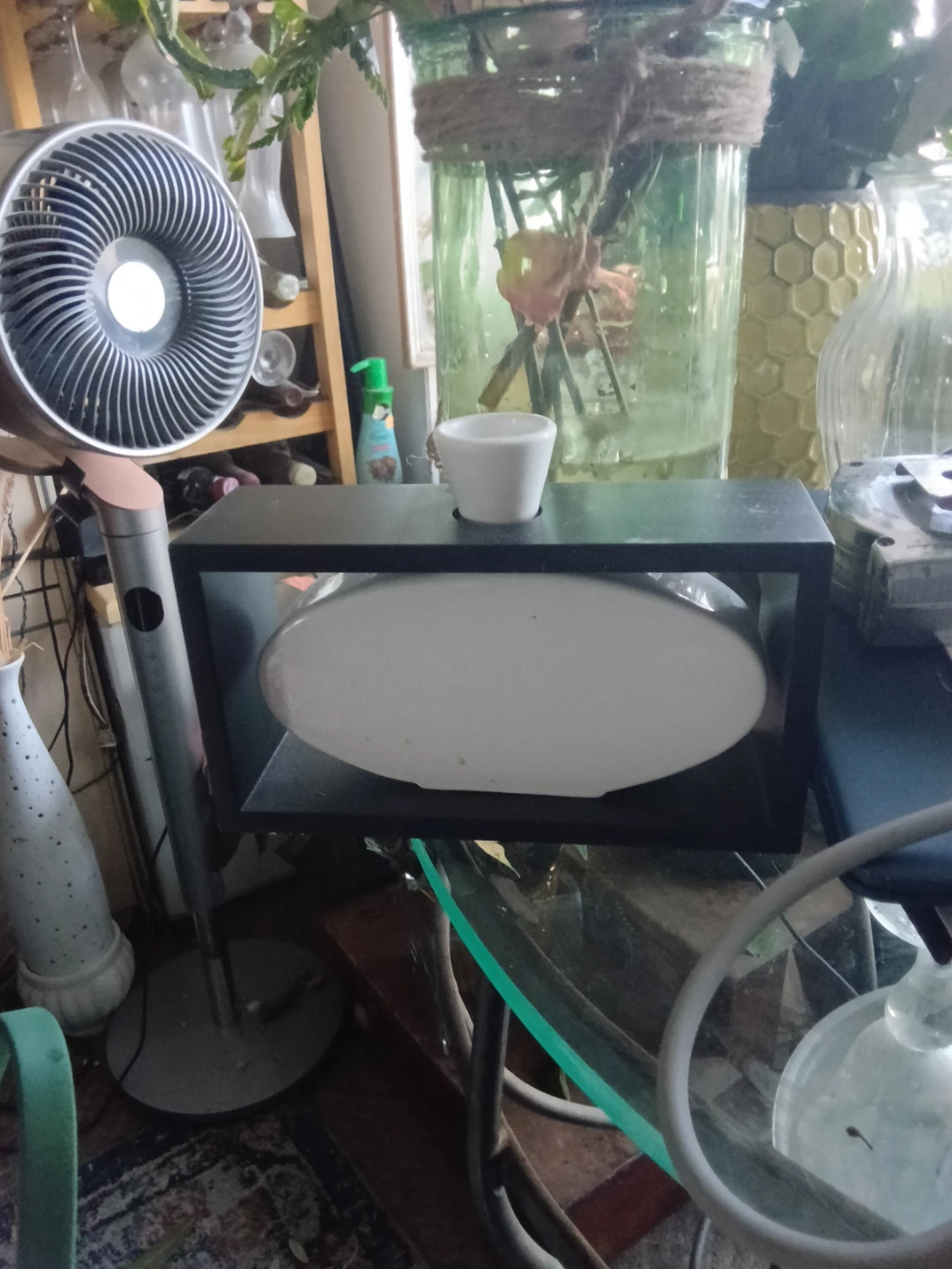 Oval White vase with Black Stand