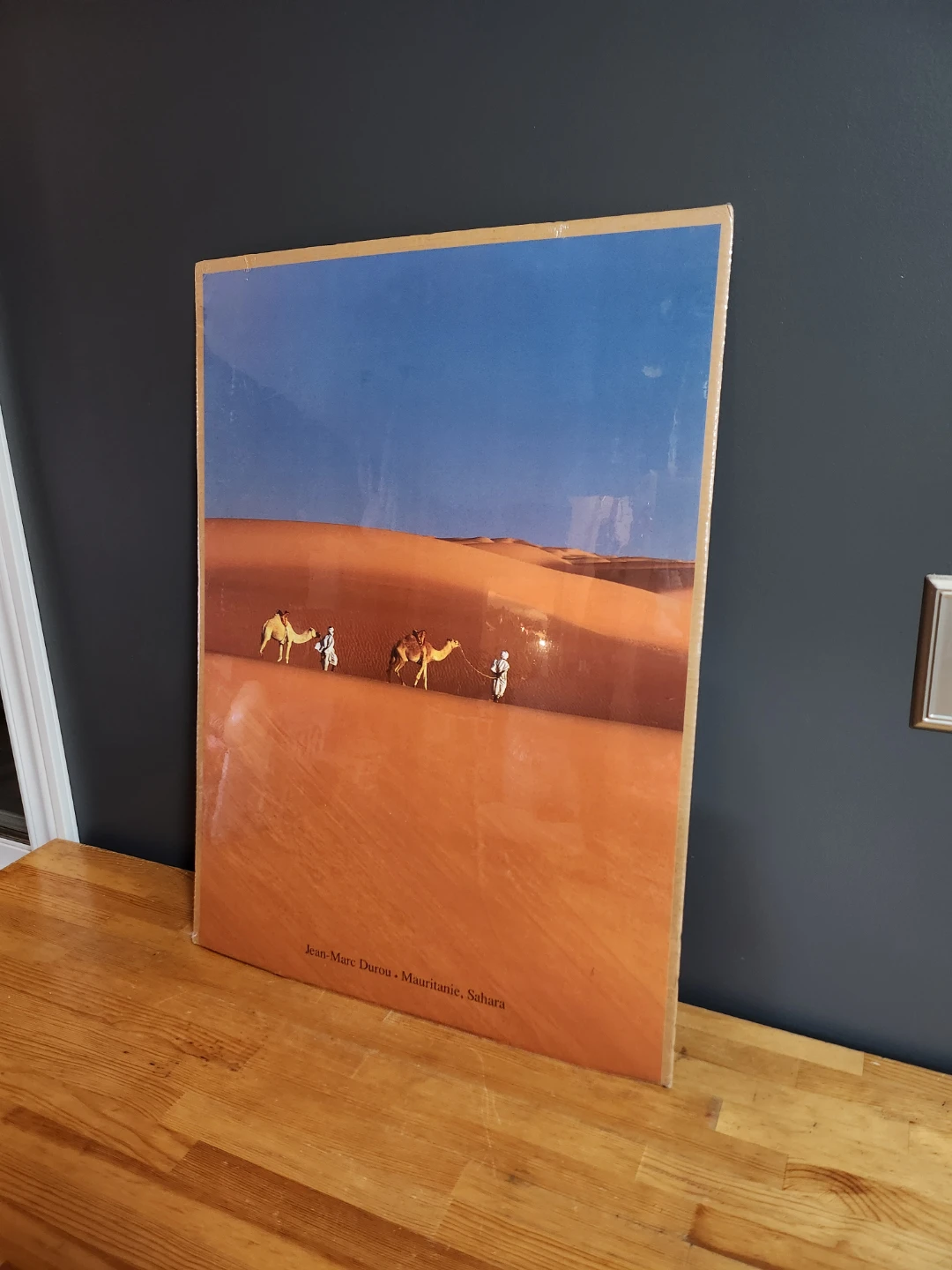 IKEA Sahara Print by Jean-Marc Durou - photo 2