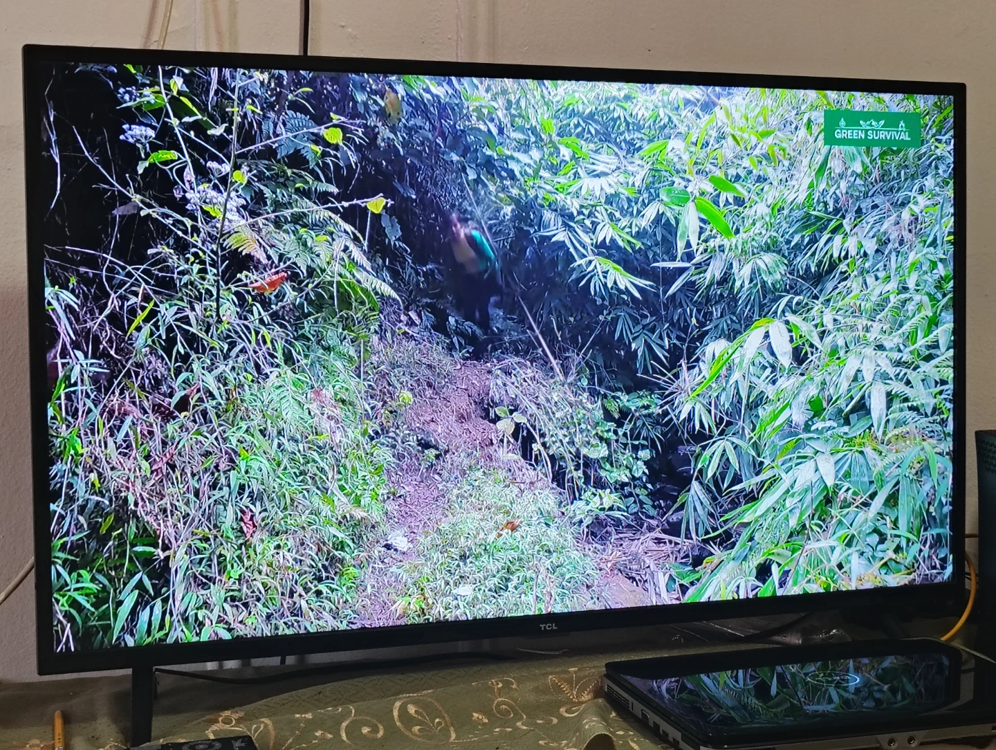 TCL Smart TV - photo 4