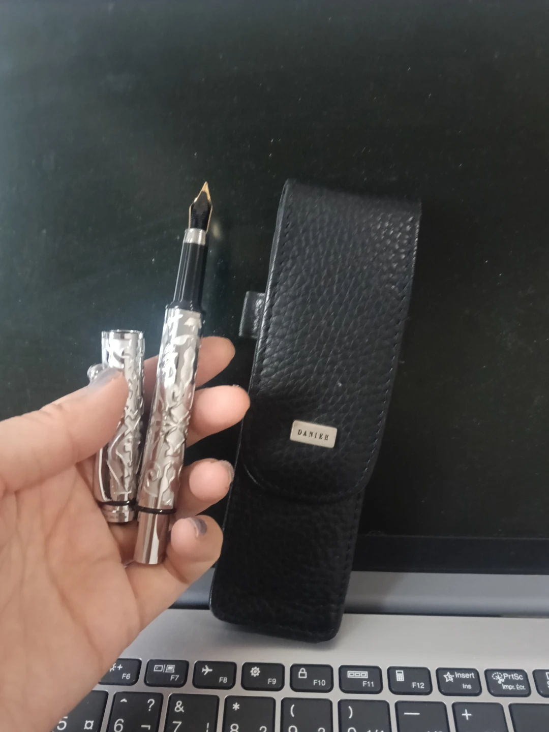 Daniik Fountain Pen with Case