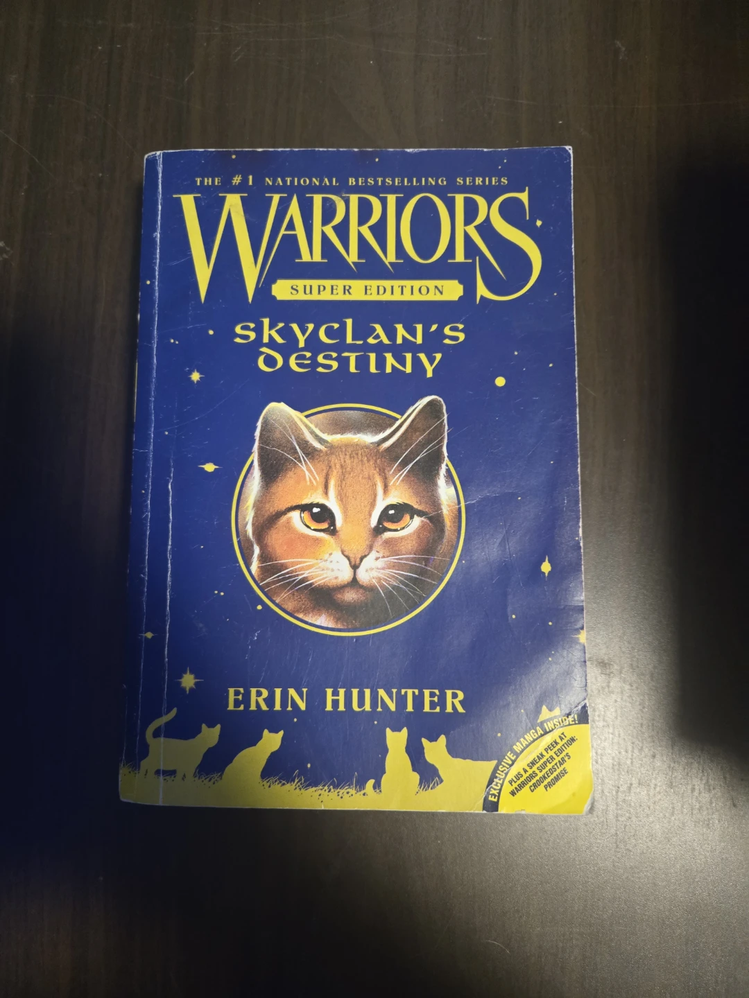 Warriors Super Edition: SkyClan's Destiny by Erin Hunter