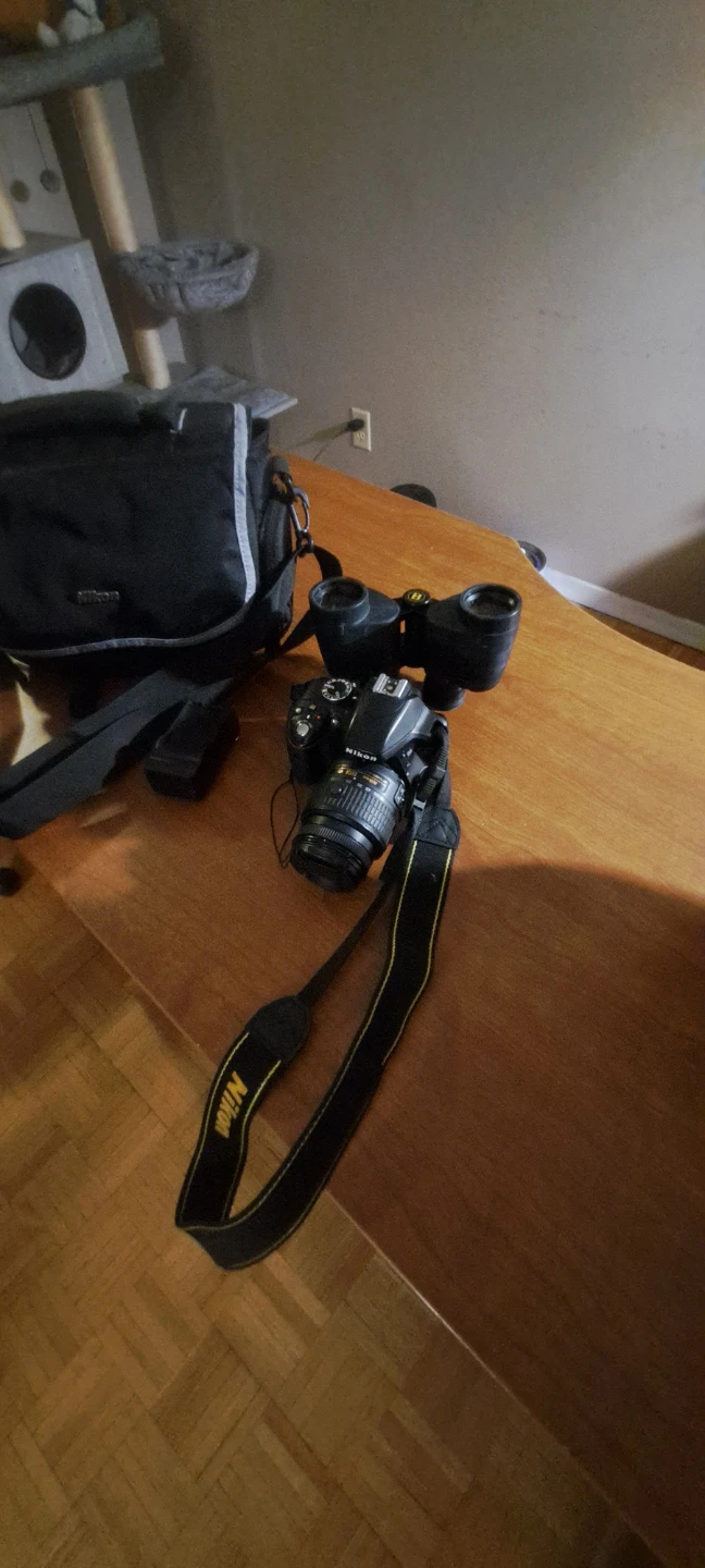 Nikon D3300 DSLR Camera with 18-55mm VR Lens - photo 4