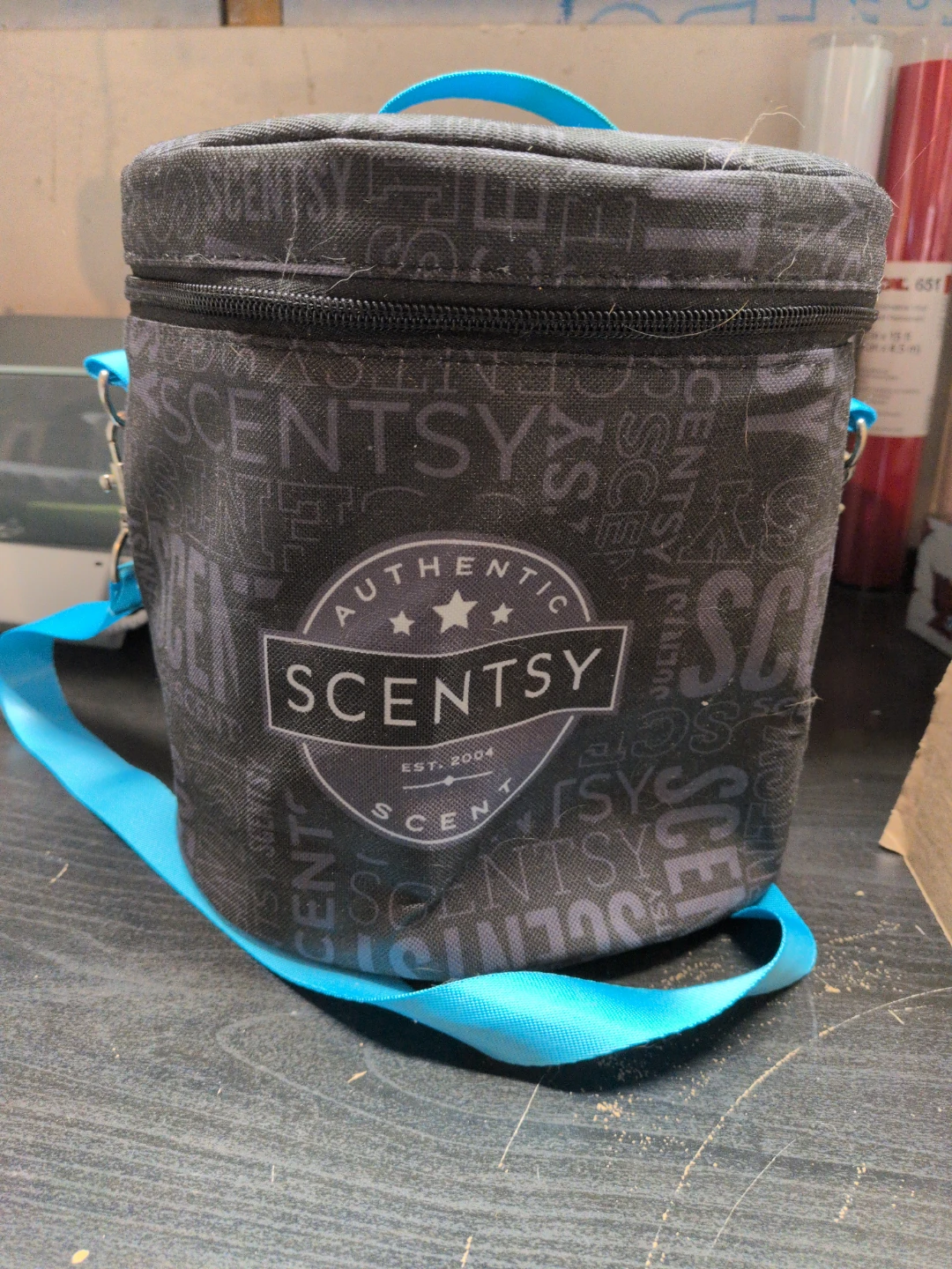 Scentsy Pods with Carrier Bag