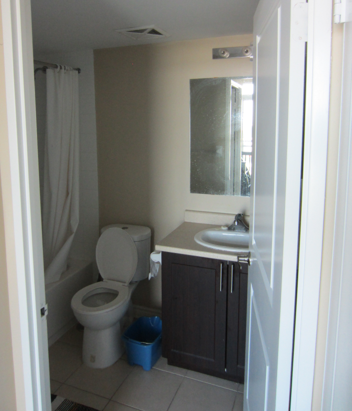 May 1st Condo Roommate Rental Private Bathroom - photo 5