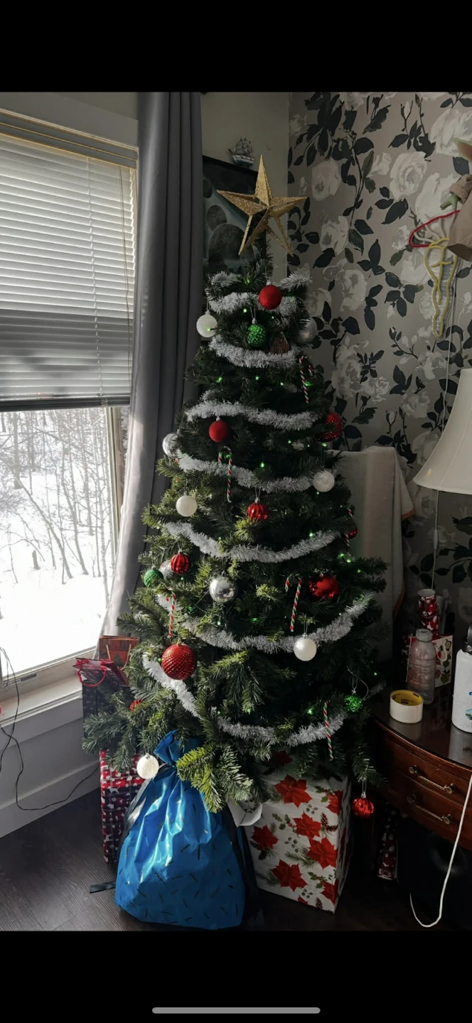 Christmas Tree & Holiday Decor