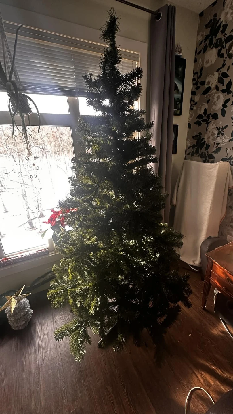 Christmas Tree & Holiday Decor - photo 2