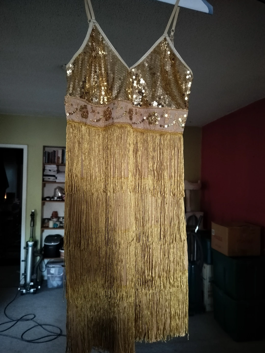 Gold Sequin Flapper Dress with Fringe