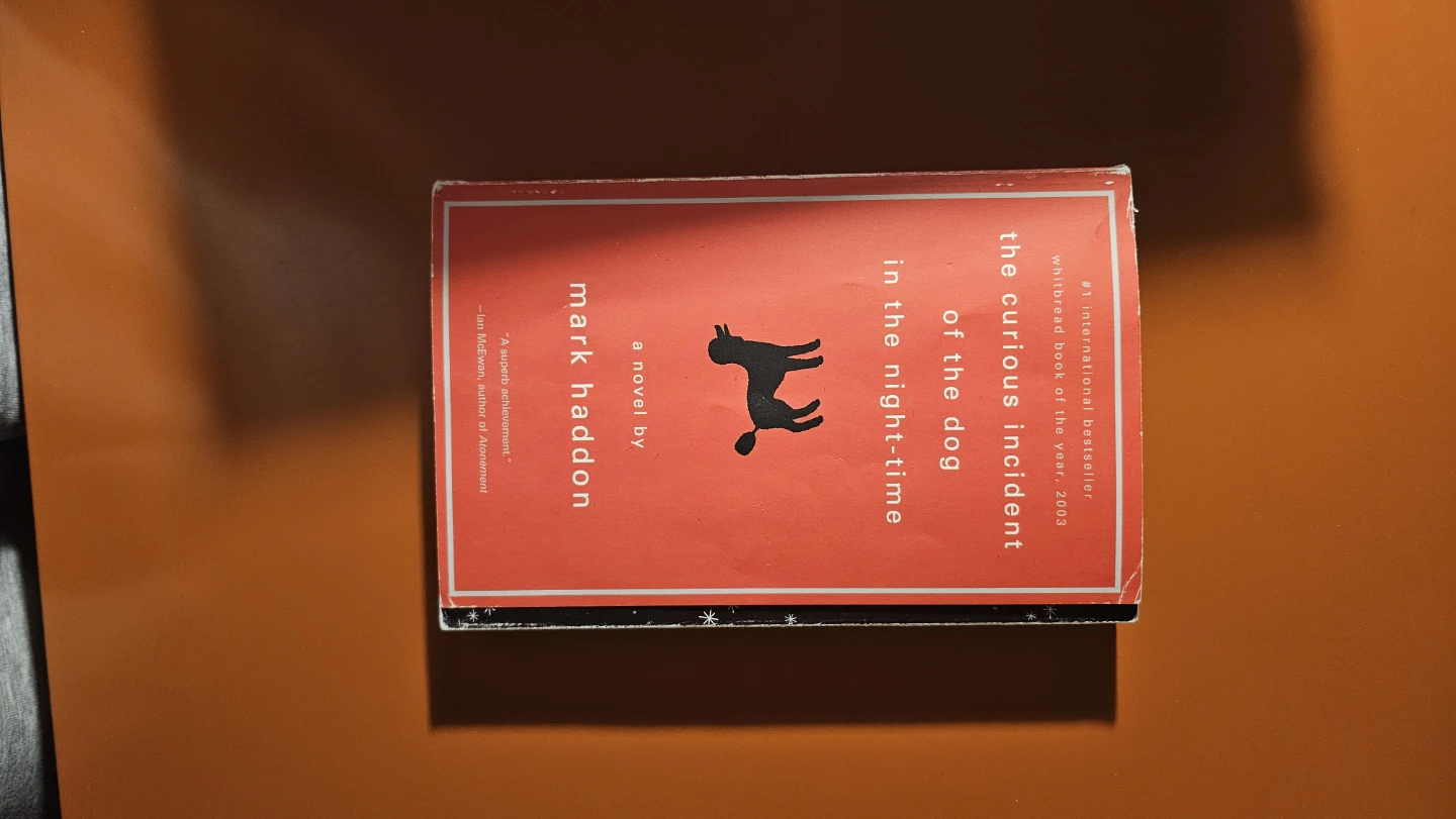 The Curious Incident of the Dog in the Night-Time by Mark Haddon