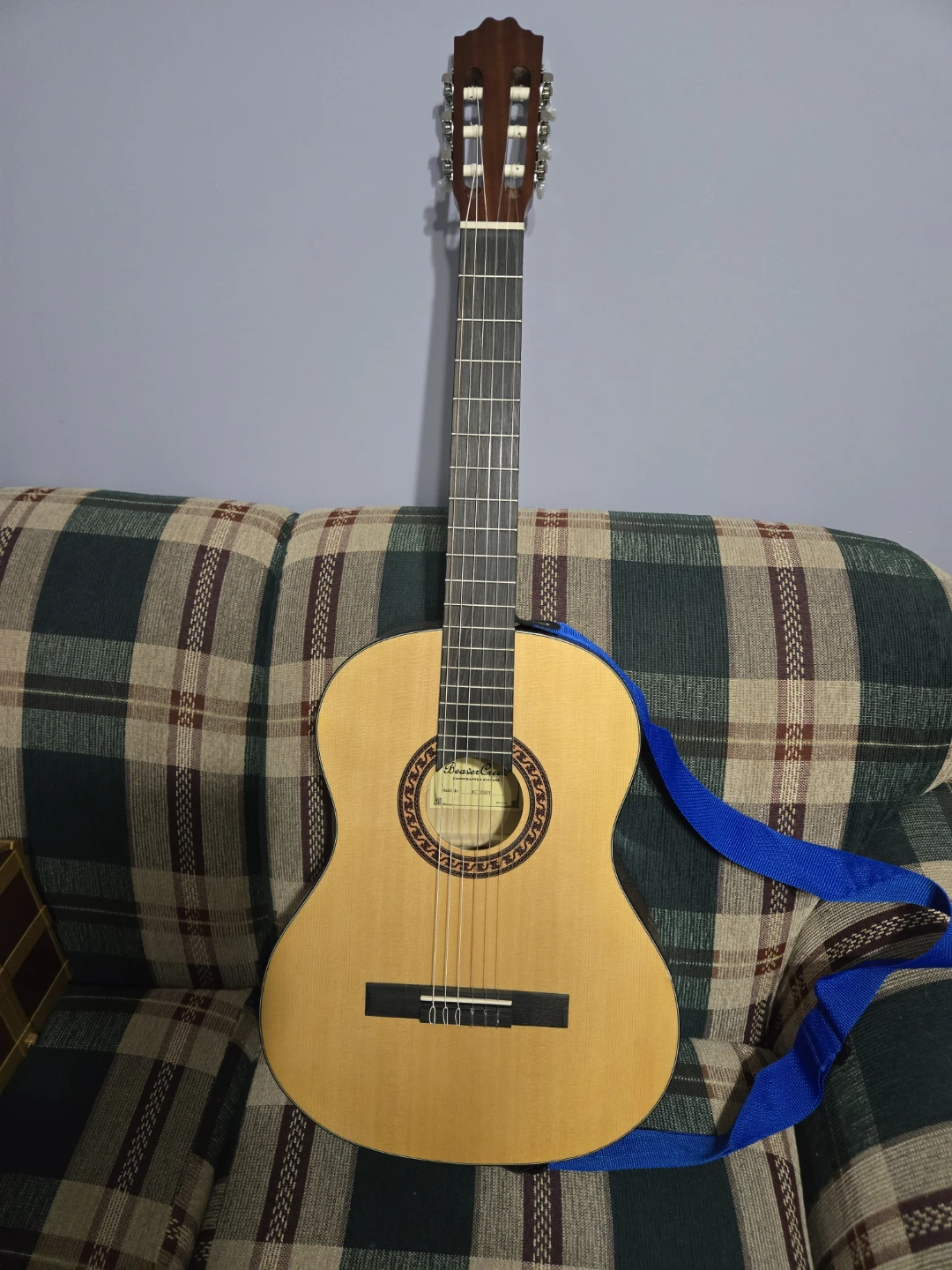 Beaver Creek Classical Guitar with Gig Bag