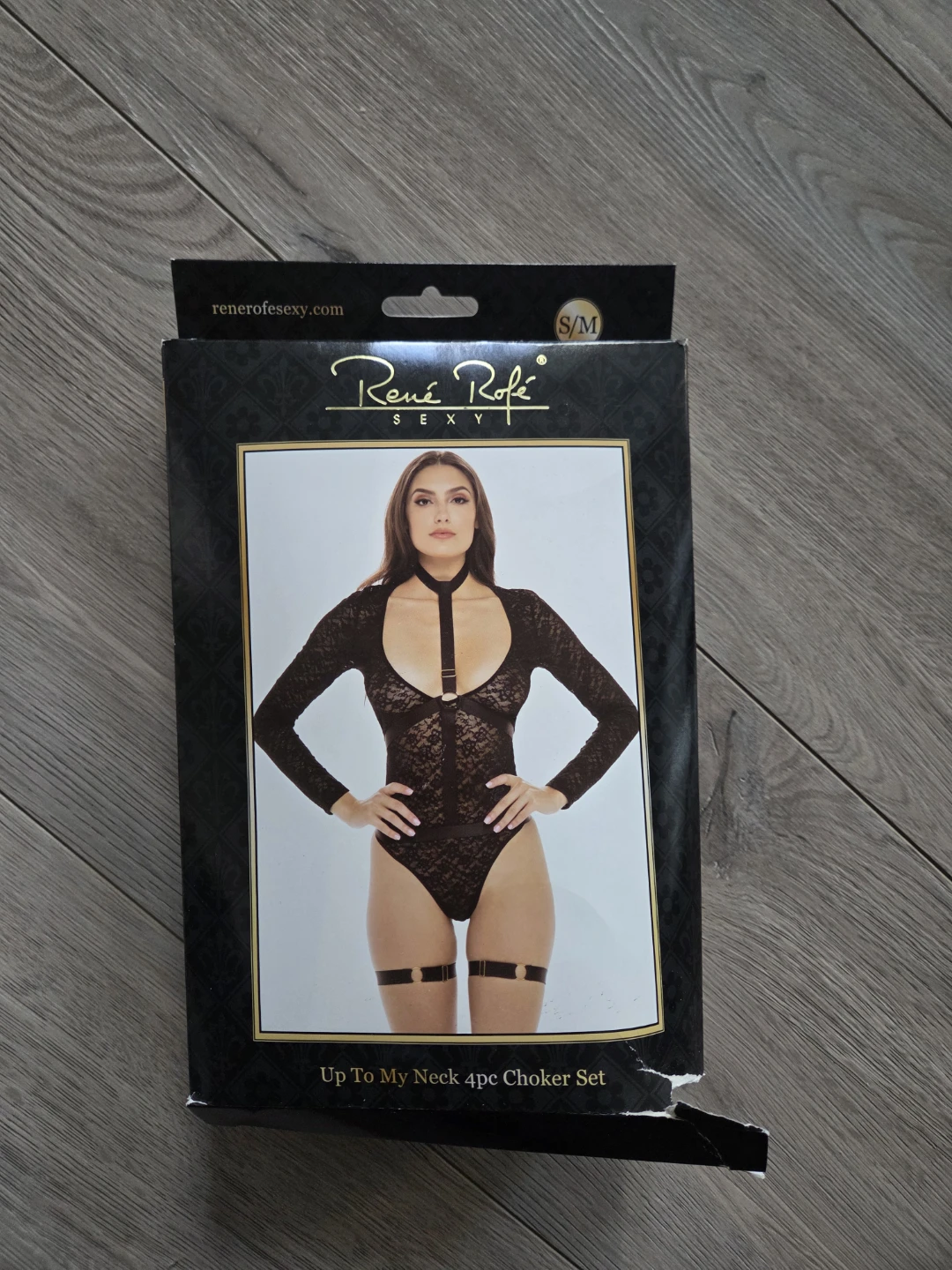 Black Lace Lingerie Bodysuit & Choker Set