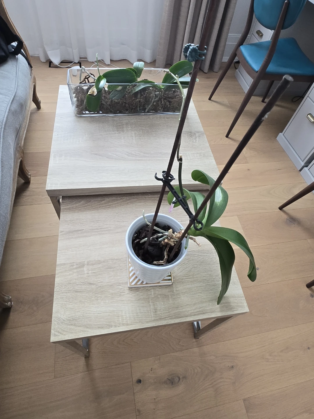 Nesting Coffee Tables - Set of 2 - photo 2