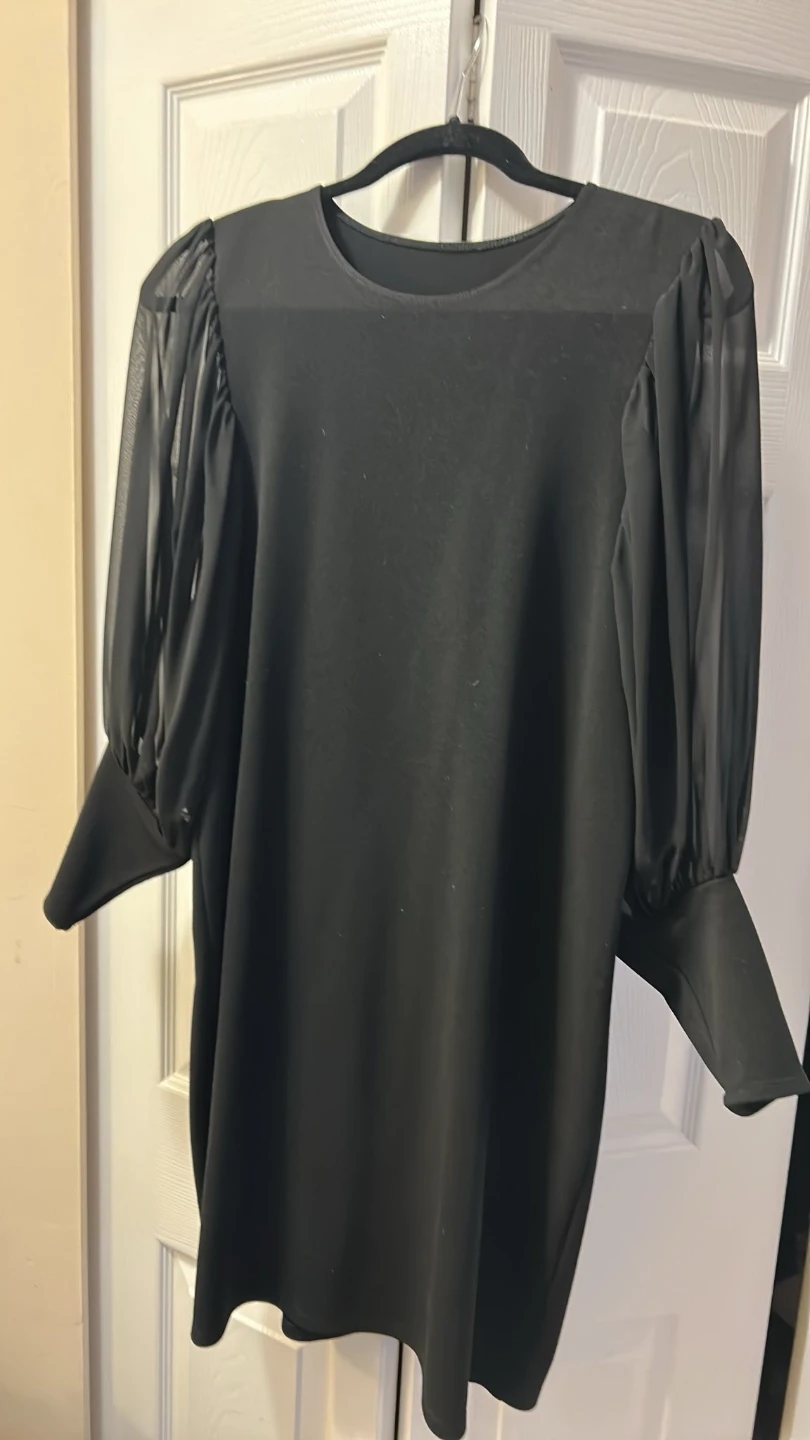 Black Dress with Sheer Puff Sleeves
