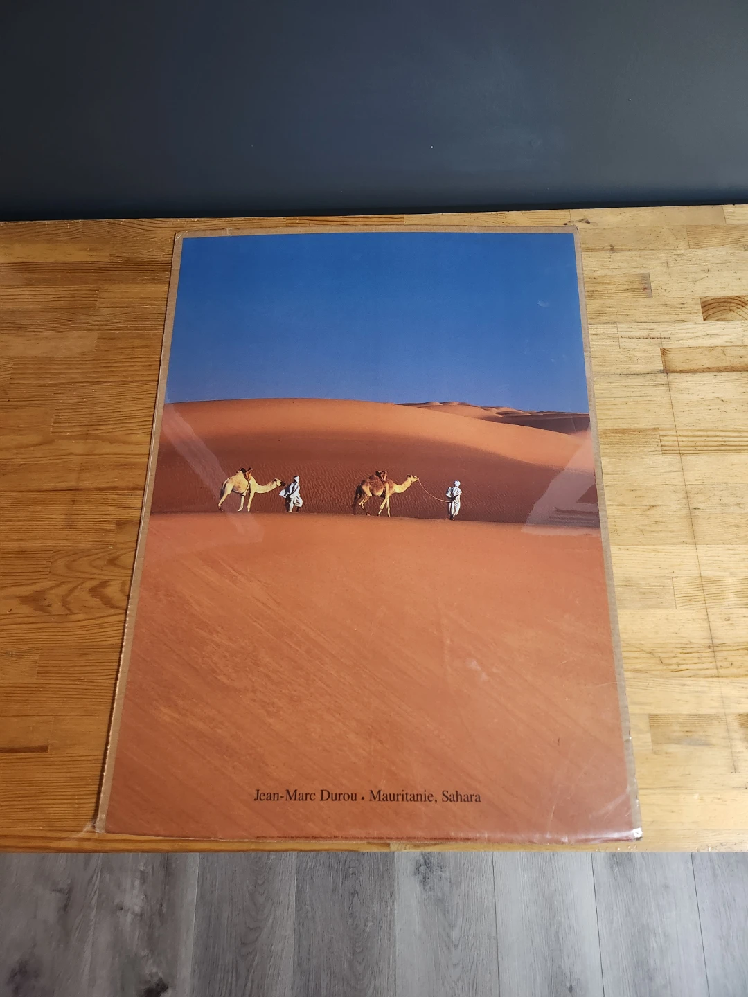IKEA Sahara Print by Jean-Marc Durou