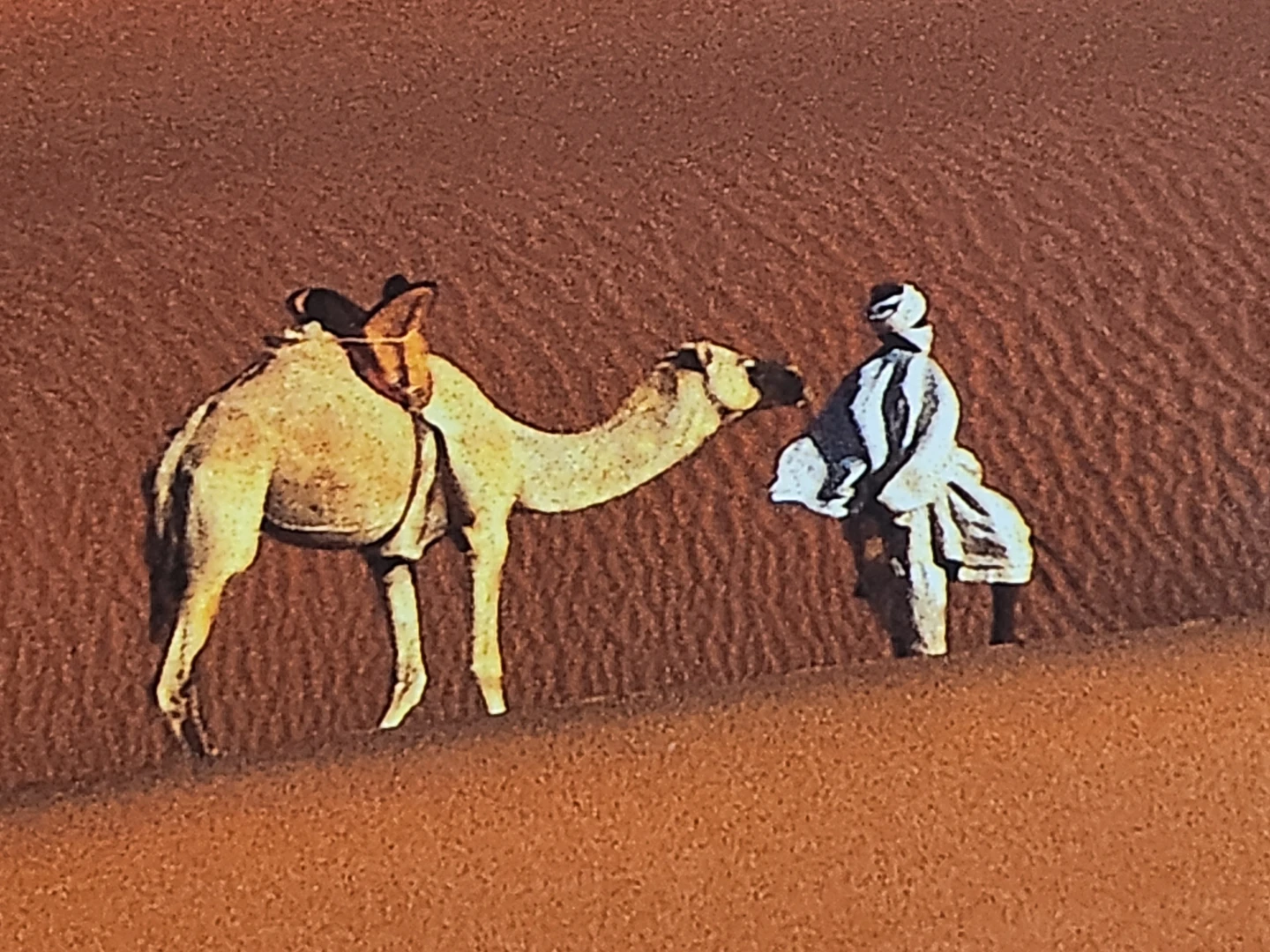 IKEA Sahara Print by Jean-Marc Durou - photo 3
