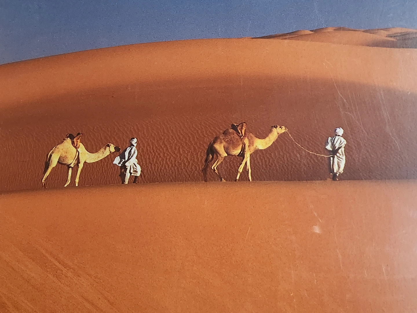 IKEA Sahara Print by Jean-Marc Durou - photo 4