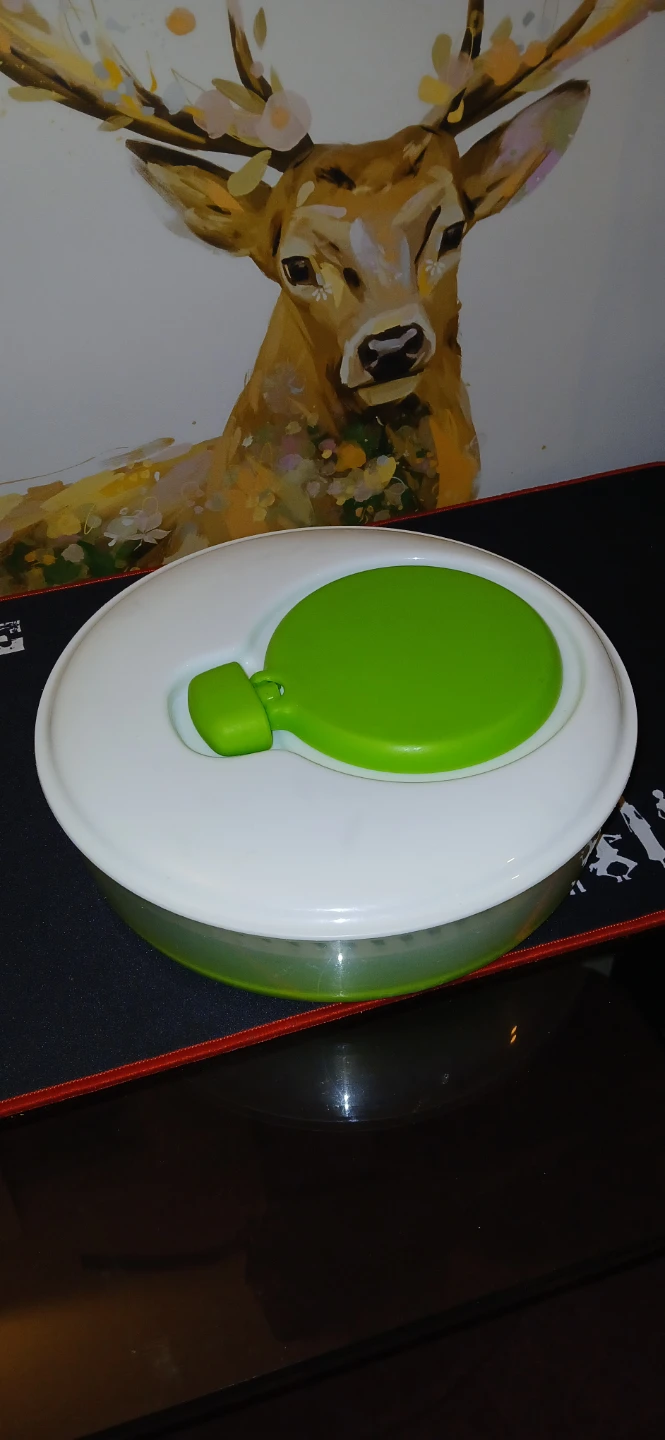 Salad Spinner - Green & White