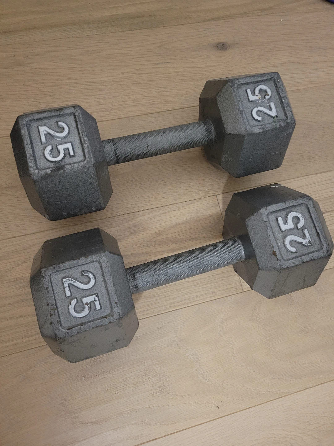 25lb Dumbbells (Pair)