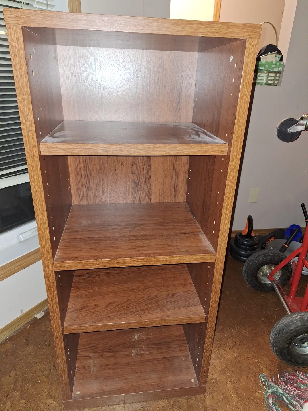 Old Style Ikea Bookshelf