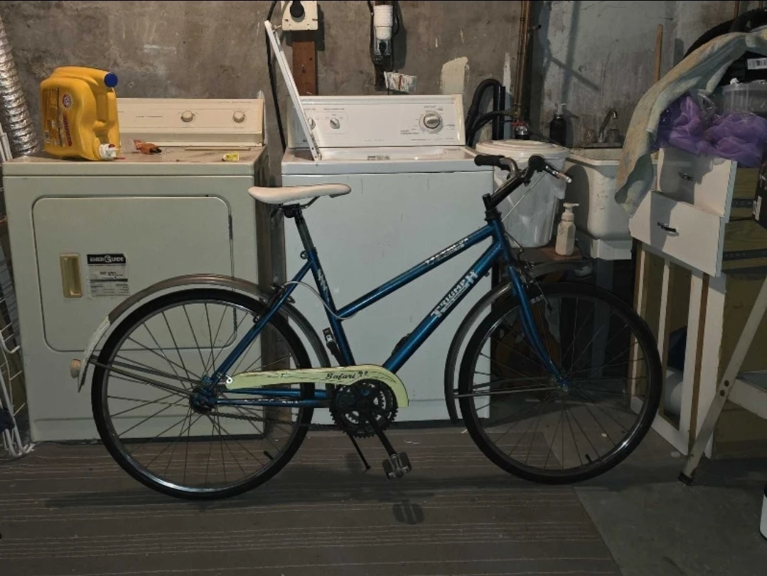 Hybrid bicycle