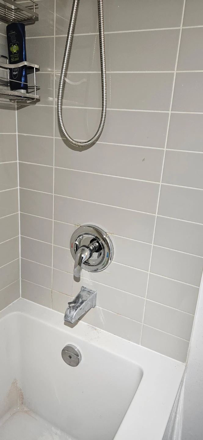 Bathroom Fixtures - Sink, Shower, Toilet - photo 3
