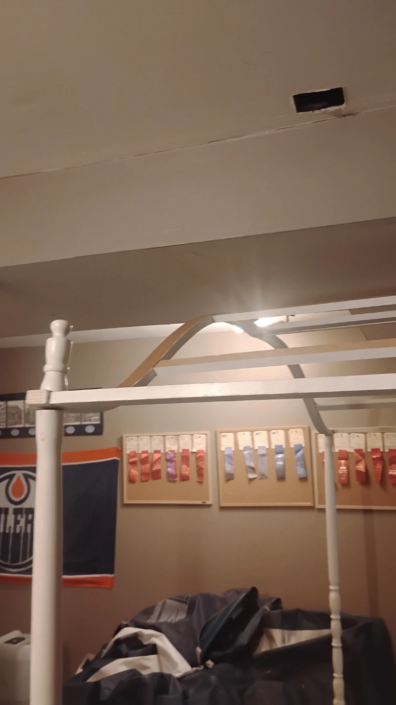 White Canopy Bed Frame🥕 - photo 3