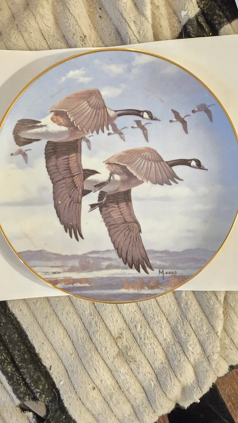 David Maass "Last Of The Season" Collector Plate - photo 2