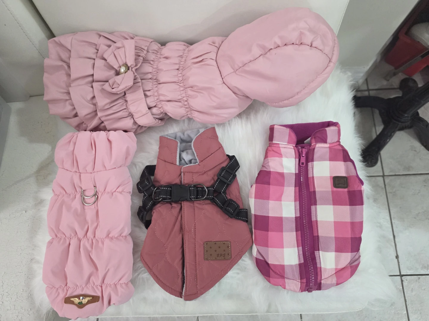 Assorted Dog Coats - Pink xxs