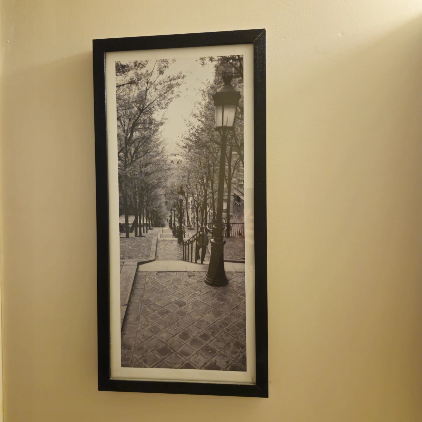 Framed Black and White Parisian Street Scene Picture