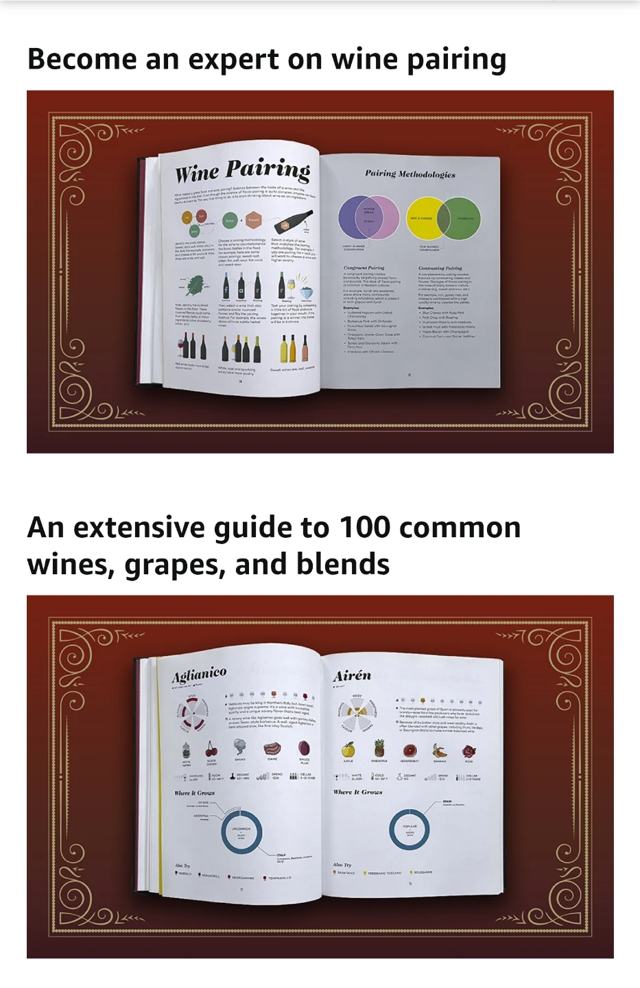 Wine Folly: The Master Guide - Magnum Edition - photo 3