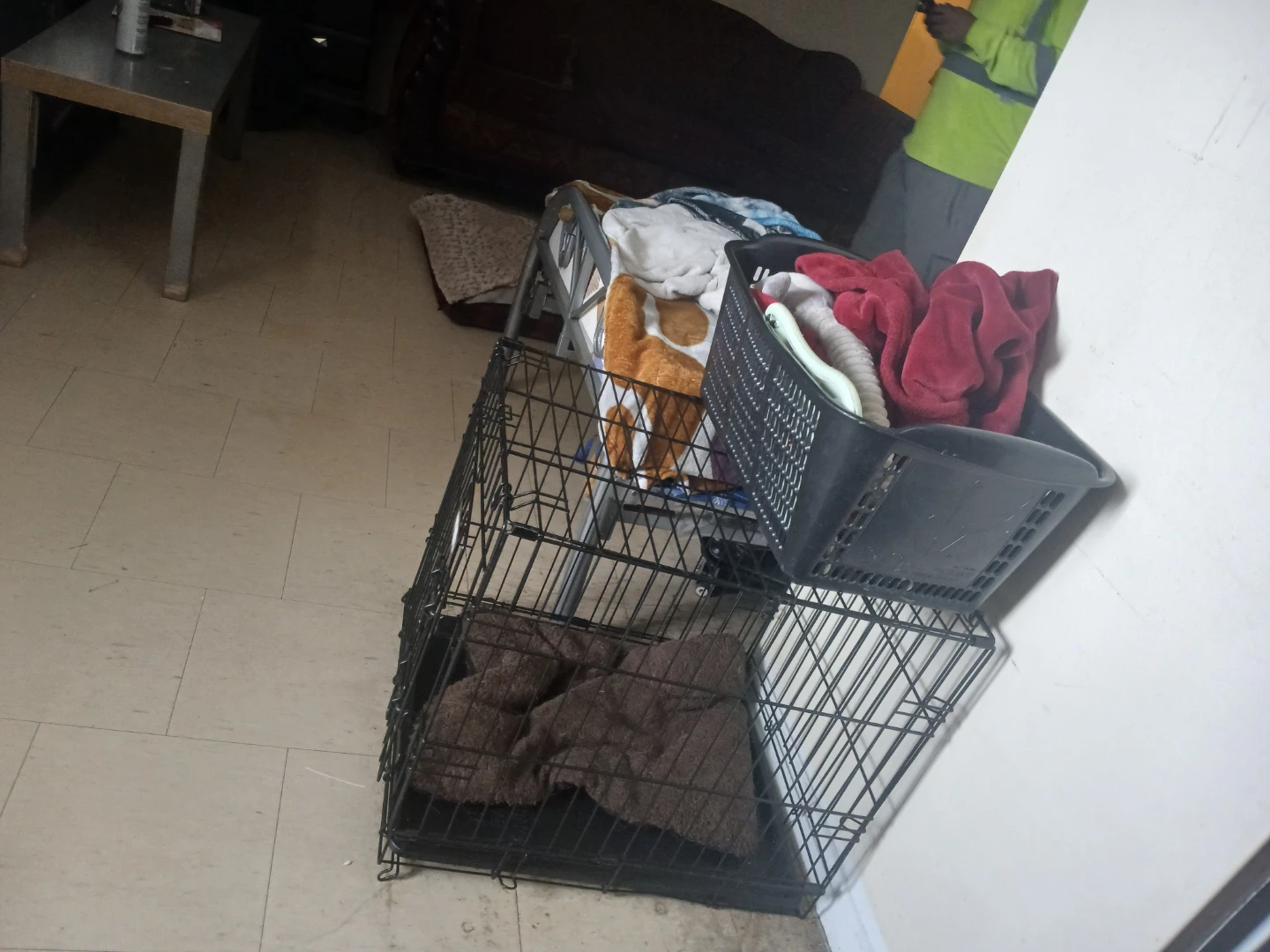 Black Wire Dog Crate