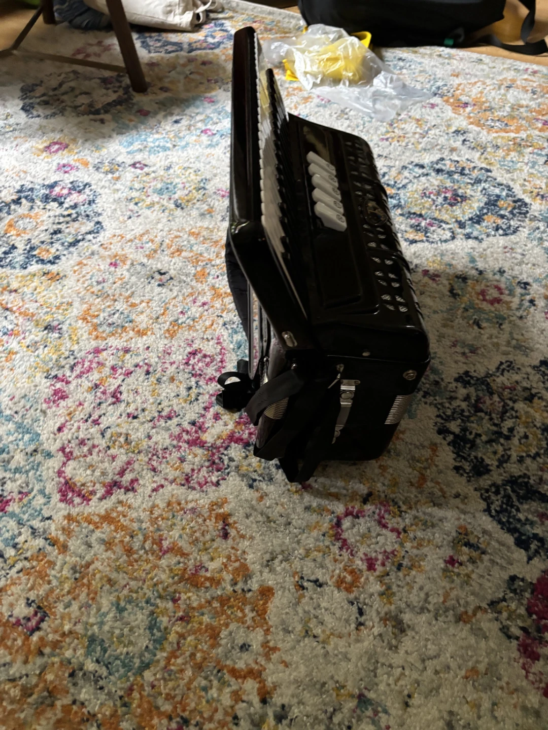 Titan Accordion - photo 4