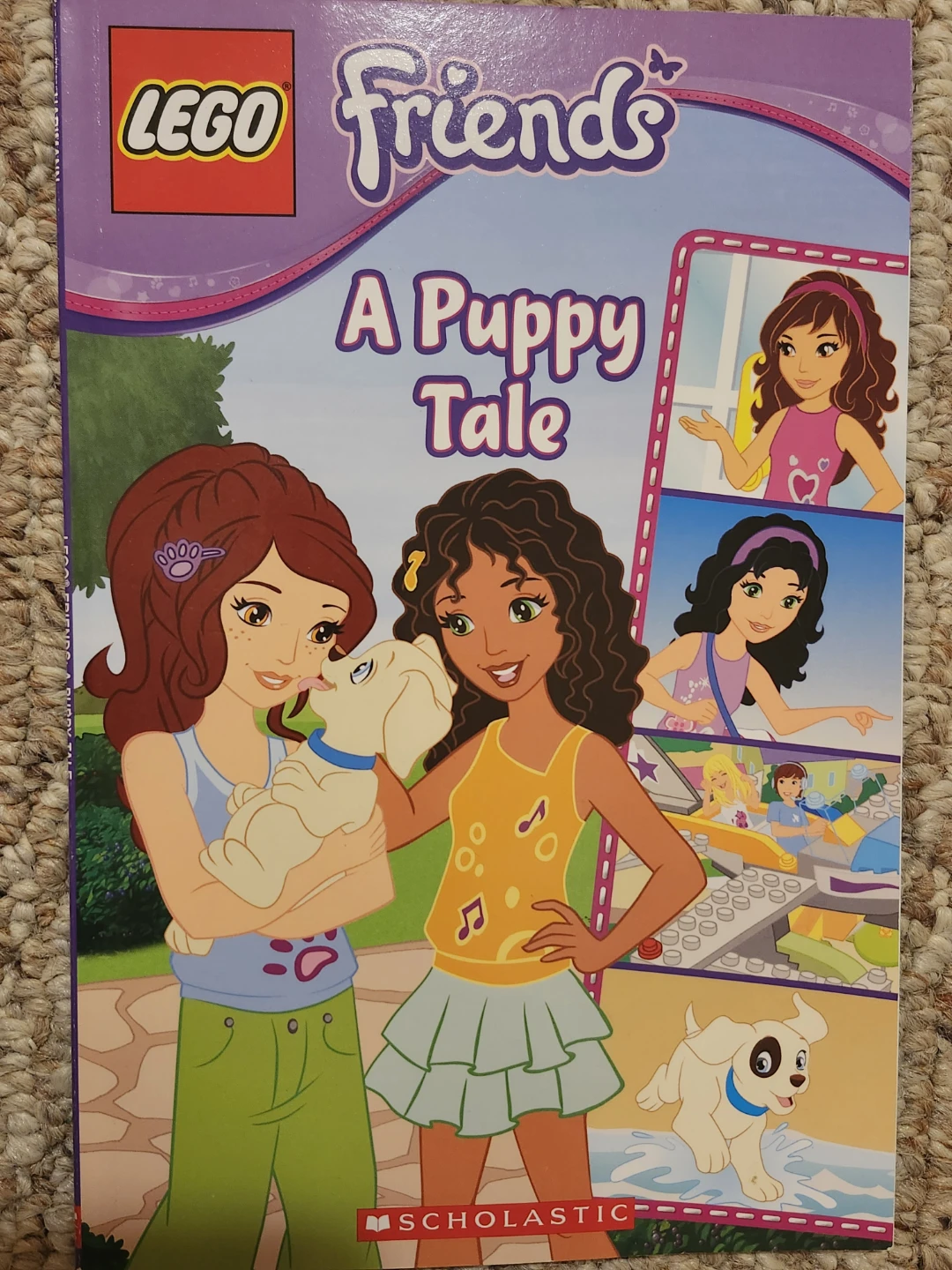 LEGO Friends Book Bundle - photo 2
