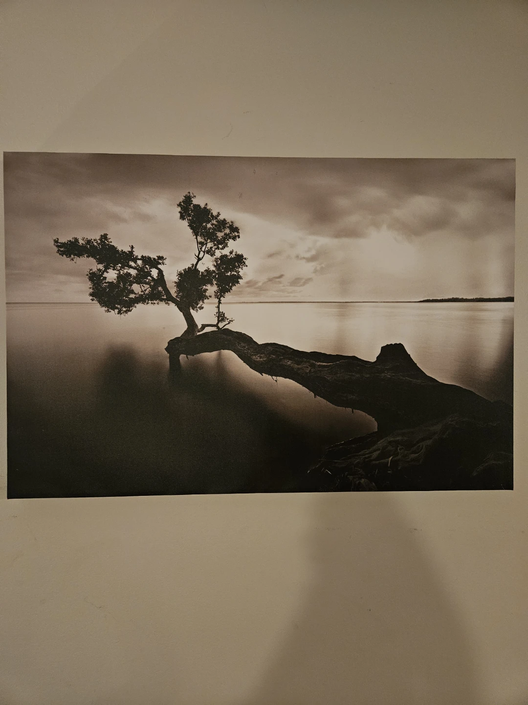 Serene Wall Art- MOVING SALE!